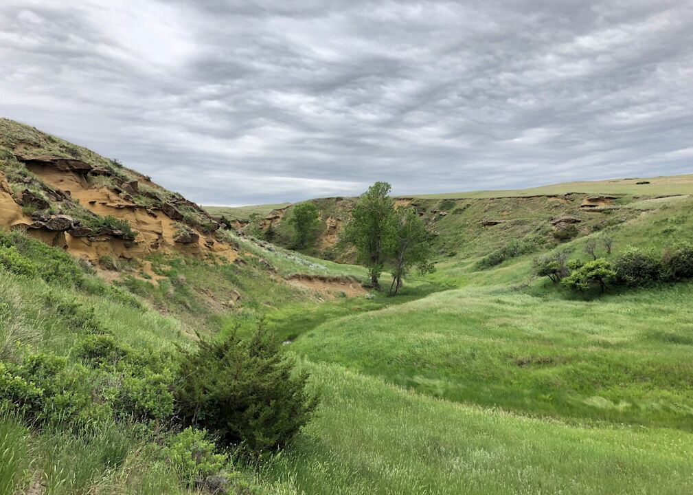 #32. McCone County, Montana